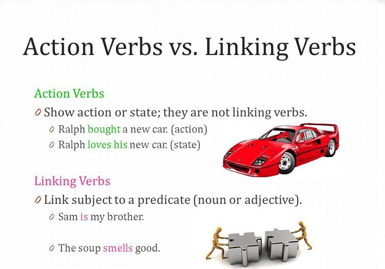 Linking verb và Action verb - Tiếng Anh Thầy Quý